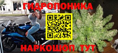 дживик Ливны