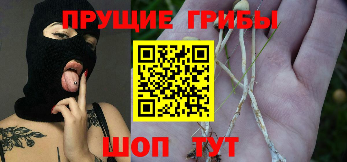 Галлюциногенные грибы GOLDEN TEACHER  Вход с VPN  купить   Южноуральск 